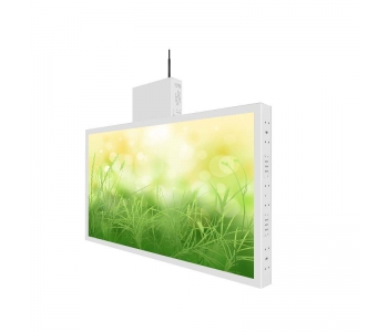 Digital Screens in Retail, Digital Window Display Screens, Flower Shop Window Displays